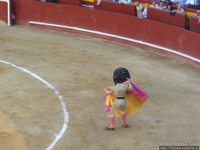 "На бой быков смотреть пошли с тобой однажды этим ...."