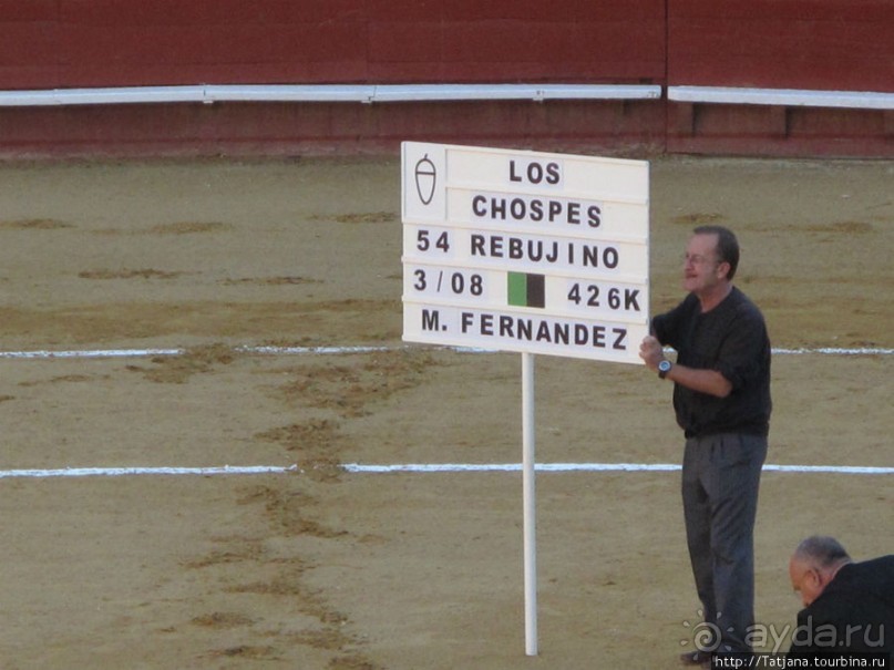 "На бой быков смотреть пошли с тобой однажды этим ...."