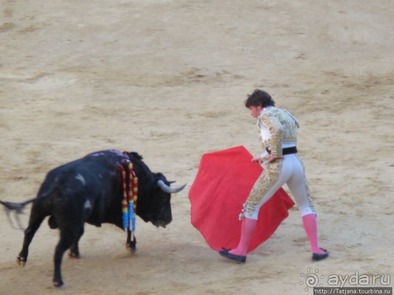 "На бой быков смотреть пошли с тобой однажды этим ...."