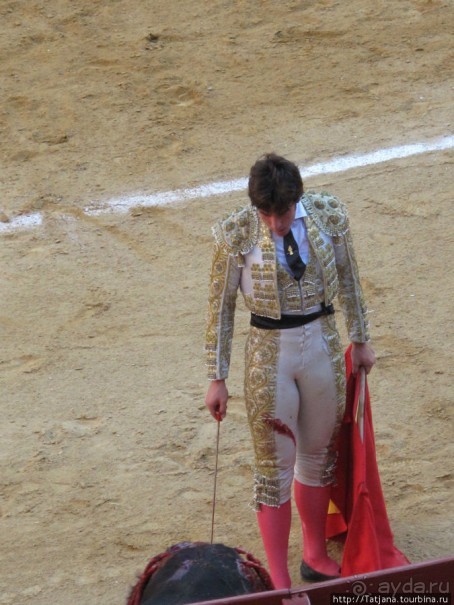 "На бой быков смотреть пошли с тобой однажды этим ...."