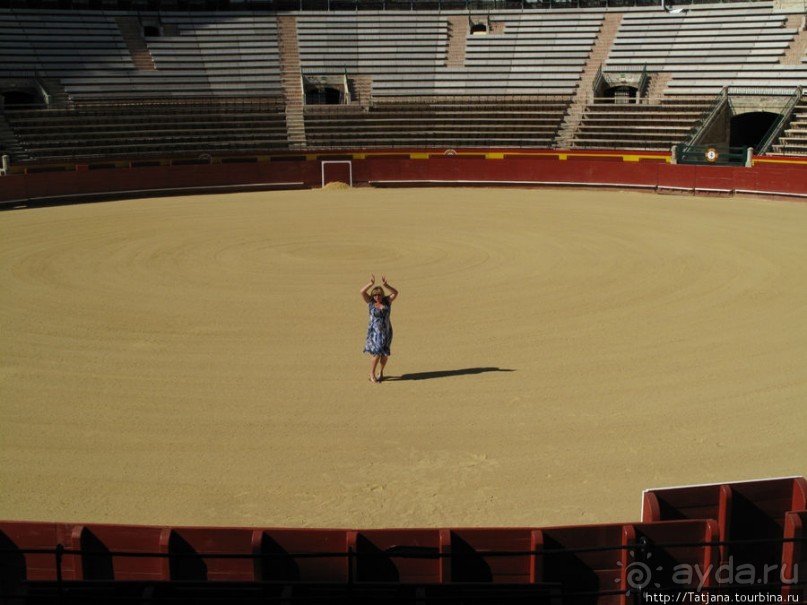 "На бой быков смотреть пошли с тобой однажды этим ...."