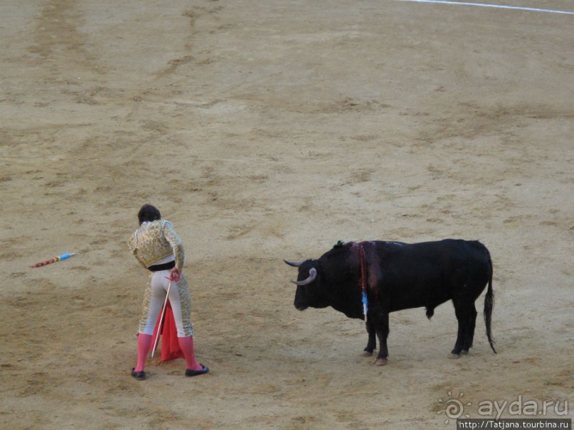 "На бой быков смотреть пошли с тобой однажды этим ...."