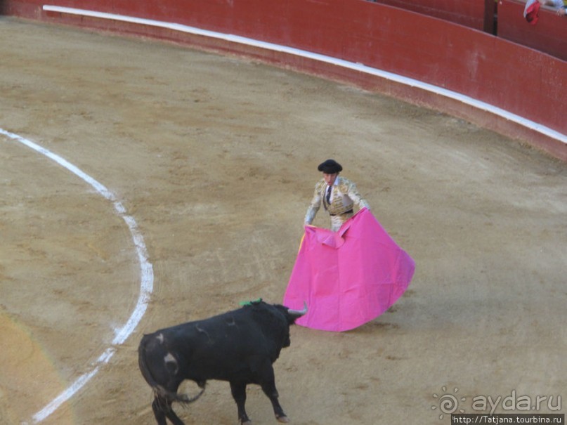 "На бой быков смотреть пошли с тобой однажды этим ...."