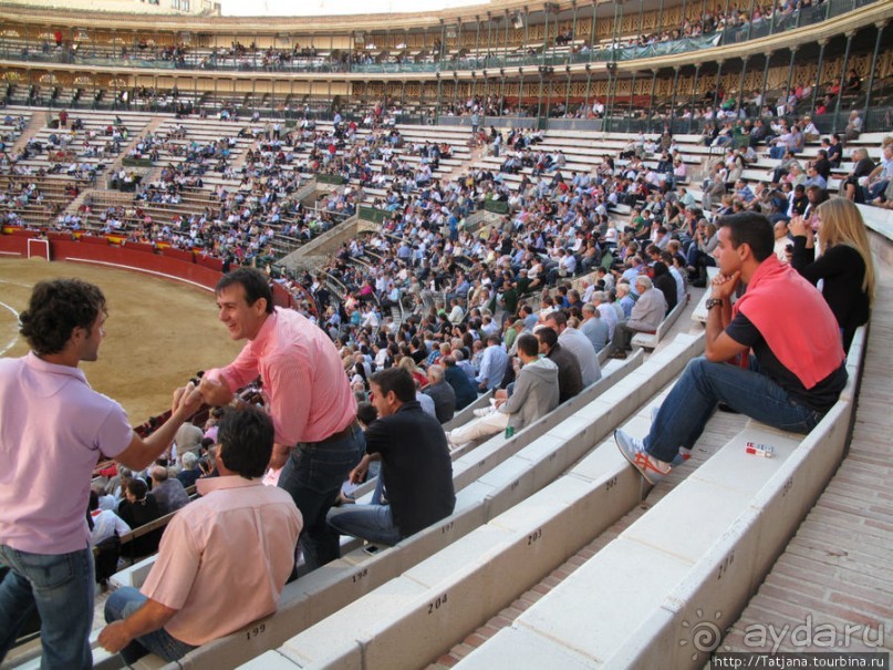 "На бой быков смотреть пошли с тобой однажды этим ...."