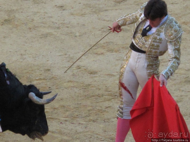 "На бой быков смотреть пошли с тобой однажды этим ...."