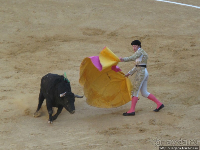 "На бой быков смотреть пошли с тобой однажды этим ...."