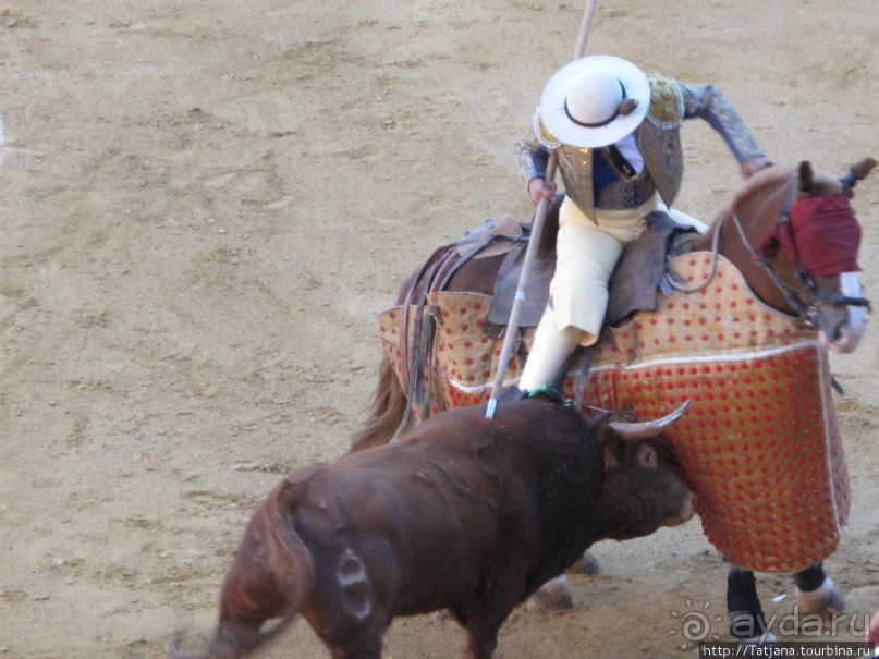 "На бой быков смотреть пошли с тобой однажды этим ...."