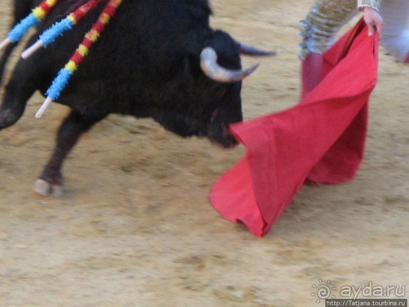 "На бой быков смотреть пошли с тобой однажды этим ...."