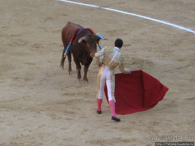 "На бой быков смотреть пошли с тобой однажды этим ...."