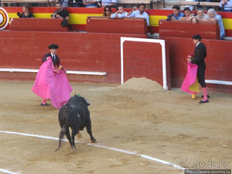 "На бой быков смотреть пошли с тобой однажды этим ...."