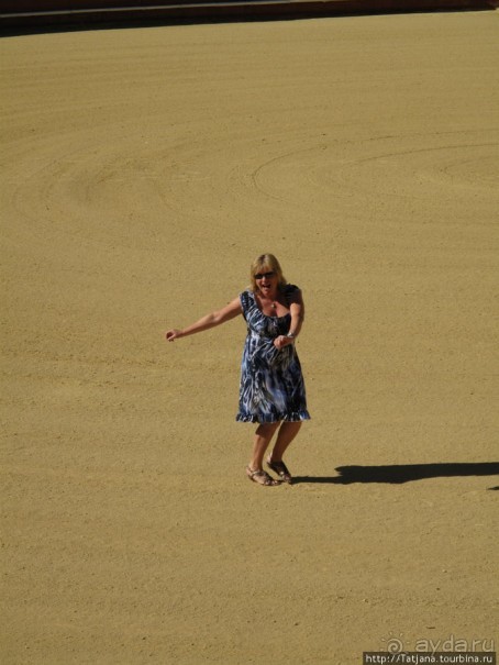 "На бой быков смотреть пошли с тобой однажды этим ...."