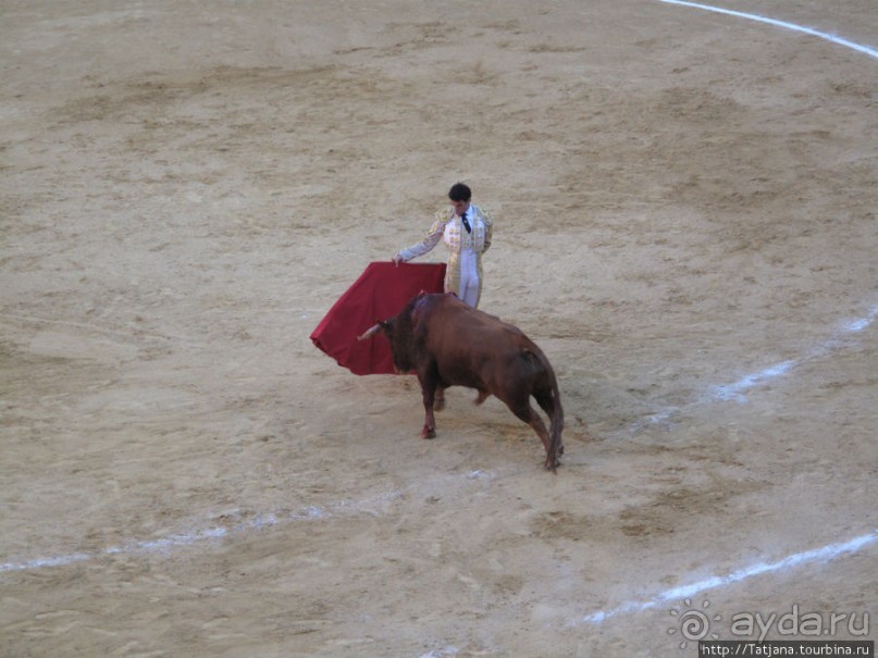 "На бой быков смотреть пошли с тобой однажды этим ...."