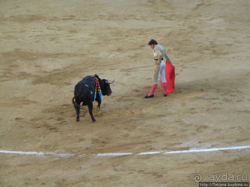 "На бой быков смотреть пошли с тобой однажды этим ...."