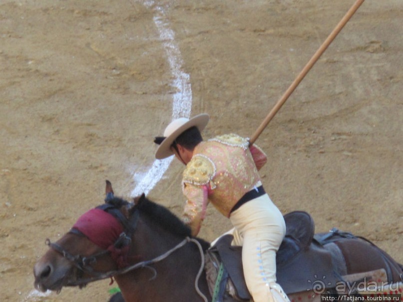 "На бой быков смотреть пошли с тобой однажды этим ...."