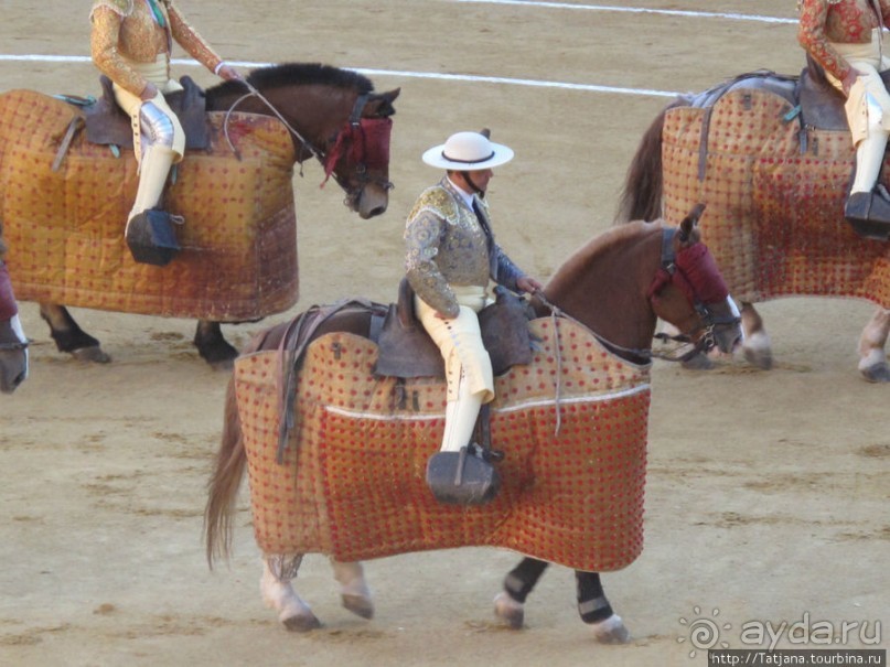 "На бой быков смотреть пошли с тобой однажды этим ...."
