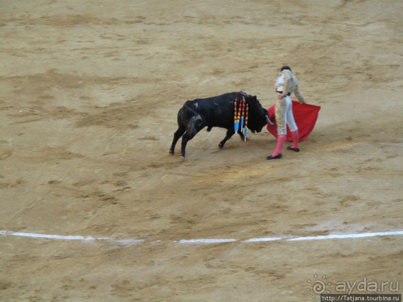 "На бой быков смотреть пошли с тобой однажды этим ...."
