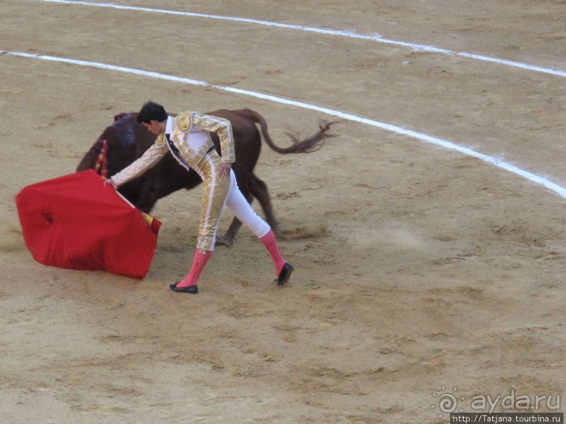 "На бой быков смотреть пошли с тобой однажды этим ...."