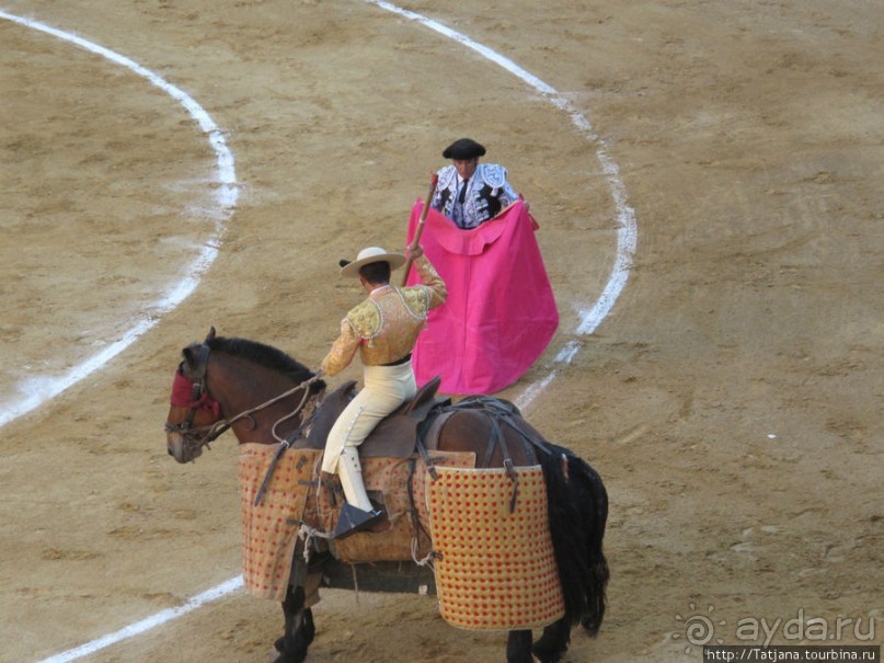 "На бой быков смотреть пошли с тобой однажды этим ...."