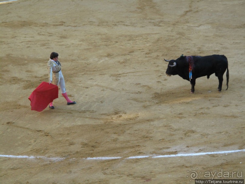 "На бой быков смотреть пошли с тобой однажды этим ...."