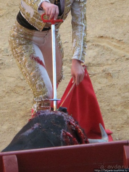 "На бой быков смотреть пошли с тобой однажды этим ...."