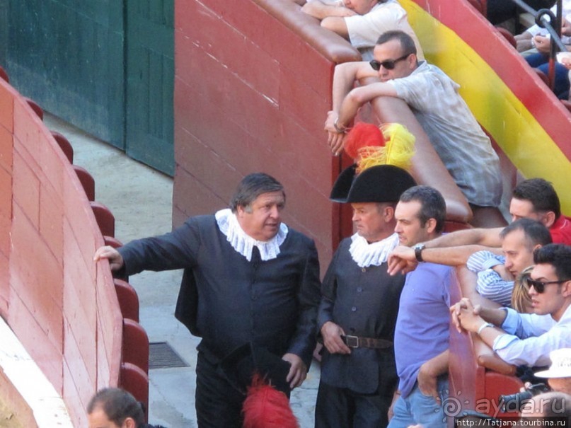 "На бой быков смотреть пошли с тобой однажды этим ...."