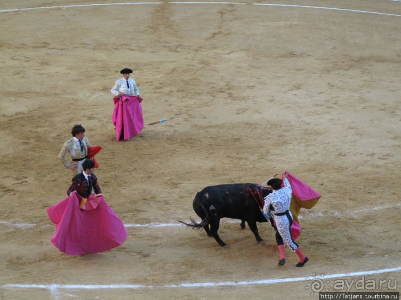 "На бой быков смотреть пошли с тобой однажды этим ...."