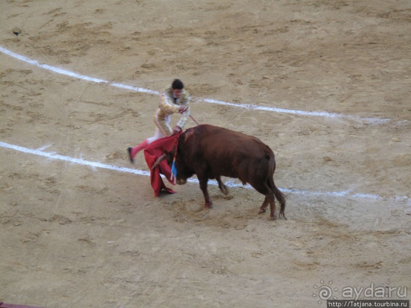 "На бой быков смотреть пошли с тобой однажды этим ...."