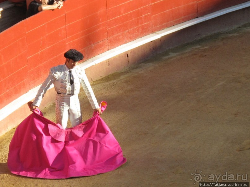 "На бой быков смотреть пошли с тобой однажды этим ...."