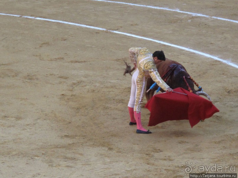 "На бой быков смотреть пошли с тобой однажды этим ...."