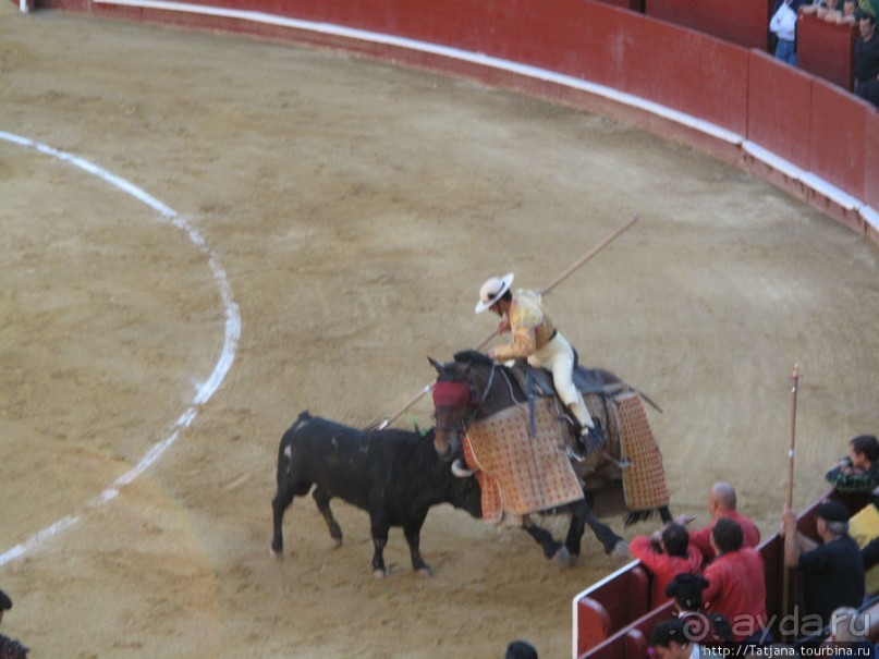 "На бой быков смотреть пошли с тобой однажды этим ...."