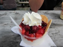 Альбом отзыва "Фирменное и запатентованное мороженое от фермера"