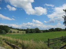 Альбом отзыва "Фирменное и запатентованное мороженое от фермера"