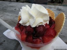 Альбом отзыва "Фирменное и запатентованное мороженое от фермера"