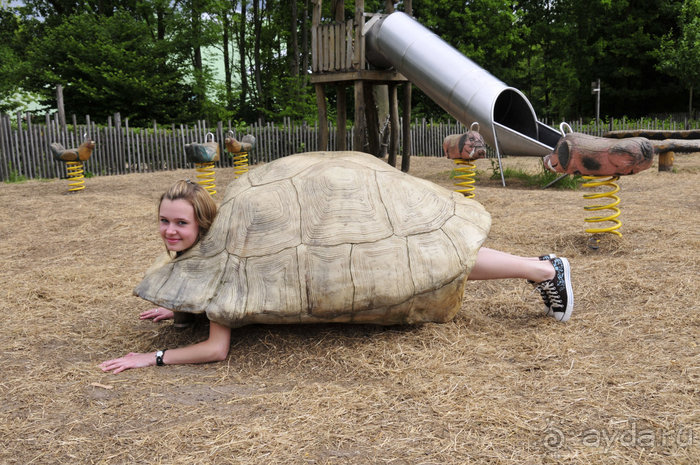 Зоопарк в Лимбурге( Gaia Park)