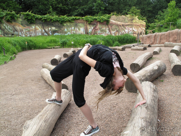 Зоопарк в Лимбурге( Gaia Park)