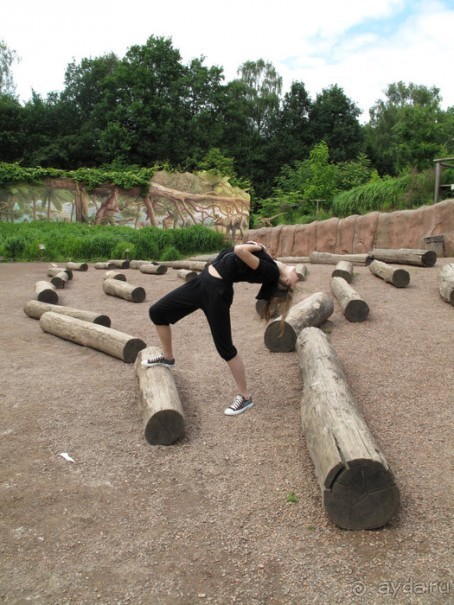 Зоопарк в Лимбурге( Gaia Park)