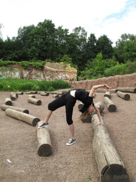 Зоопарк в Лимбурге( Gaia Park)