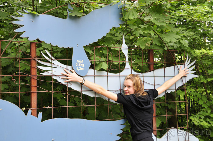 Зоопарк в Лимбурге( Gaia Park)