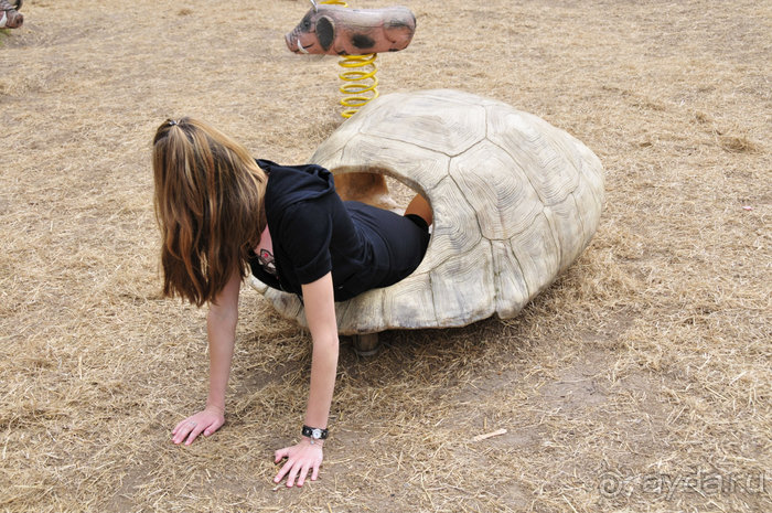 Зоопарк в Лимбурге( Gaia Park)