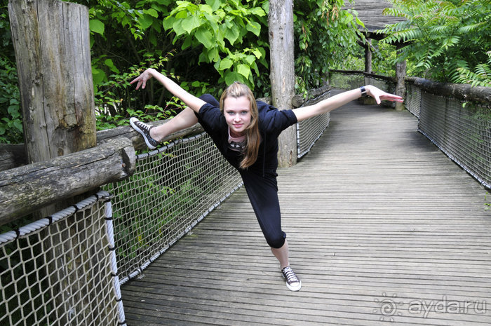 Зоопарк в Лимбурге( Gaia Park)