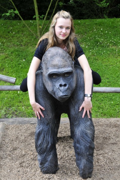 Зоопарк в Лимбурге( Gaia Park)