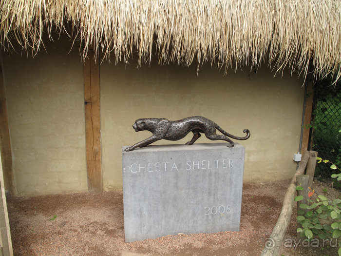 Зоопарк в Лимбурге( Gaia Park)