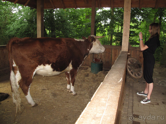 Зоопарк в Лимбурге( Gaia Park)