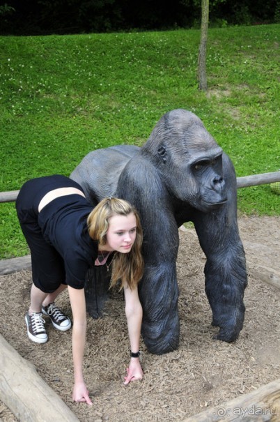 Зоопарк в Лимбурге( Gaia Park)