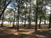 Национальный парк Сам Рой Йот - «Гора 300 вершин»