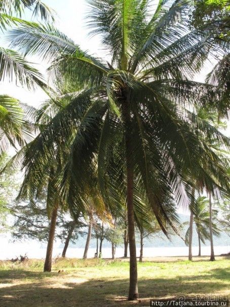 Национальный парк Сам Рой Йот - «Гора 300 вершин»