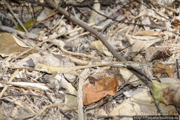 Национальный парк Сам Рой Йот - «Гора 300 вершин»