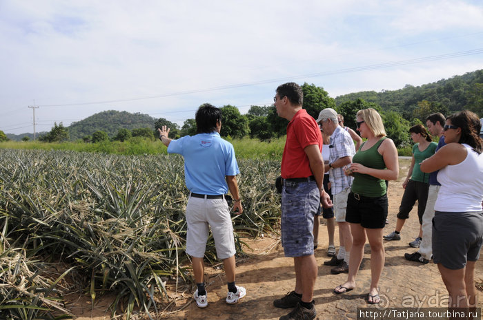 Национальный парк Сам Рой Йот - «Гора 300 вершин»