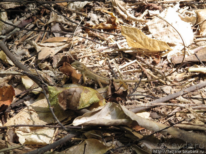 Национальный парк Сам Рой Йот - «Гора 300 вершин»