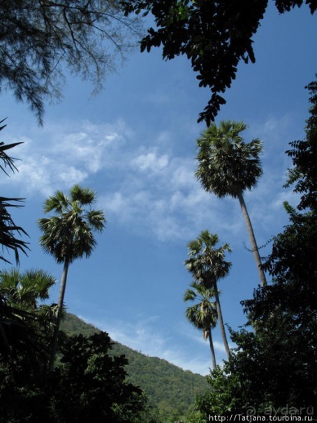 Национальный парк Сам Рой Йот - «Гора 300 вершин»